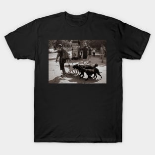 Dog Sitter Central Park New York City T-Shirt